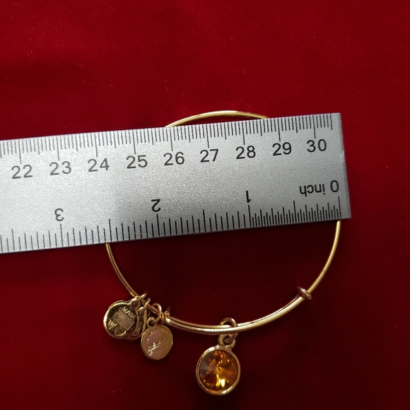 Alex and Ani CRYSTAL BIRTHSTONE NOVEMBER BRACELET - Picture 7 of 7